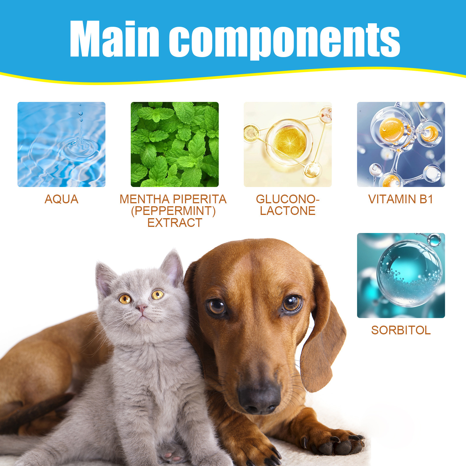 PET-0002-6
